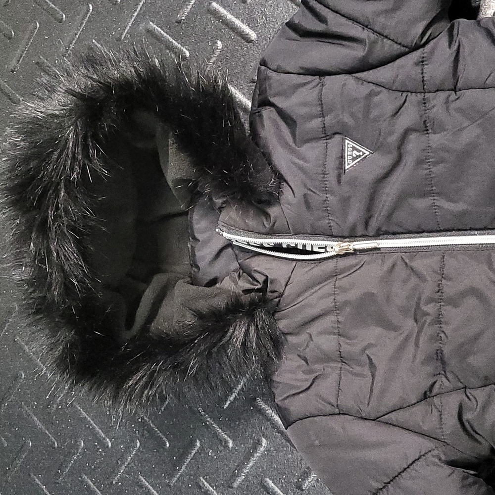Winter Jacket - Picture 3 of 6